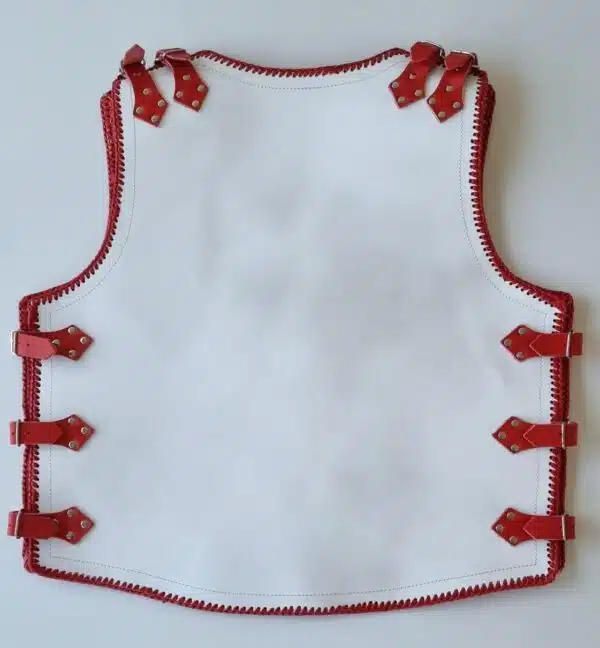 Leather Vest
