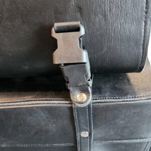leather saddle bags